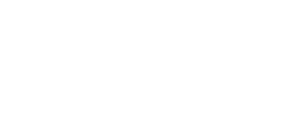 Logo-my-pham-son-tien